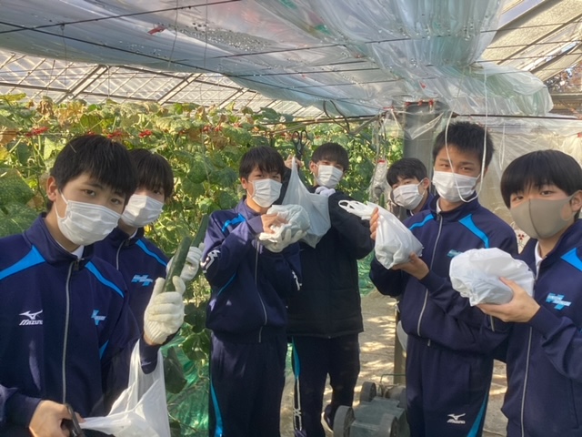 食育実践科１年生　胡瓜の収穫体験