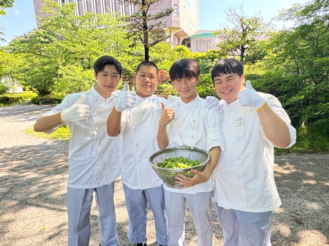 梅の収穫〜食育実践科1年生ある日の実習〜