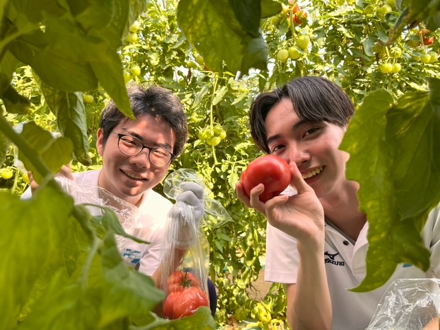 トマト収穫体験～食育実践科２年生 地元農家さんとの交流～