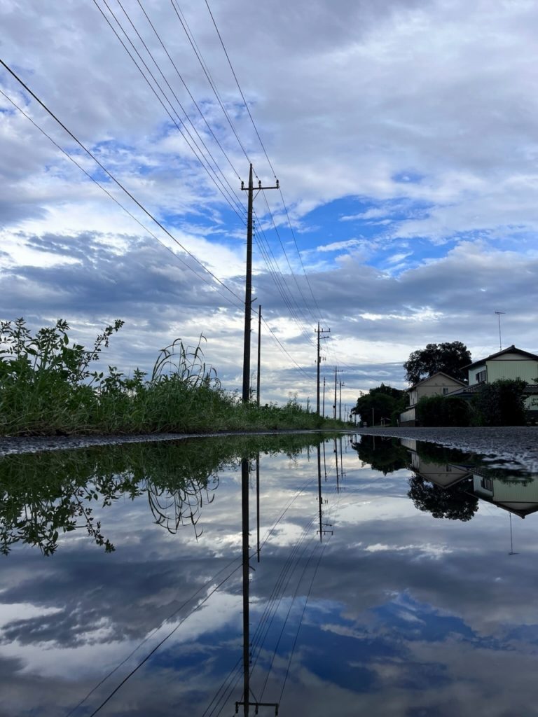 写真部門でW受賞！埼玉県知事賞を本校が初獲得！！