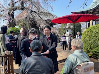茶道部が桜茶会に参加しました～佐藤栄学園茶道部と呈茶～