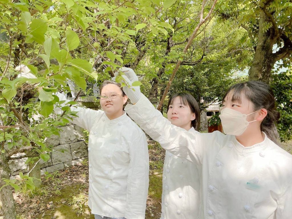 梅～毎年恒例！食育実践科１年生が収穫～